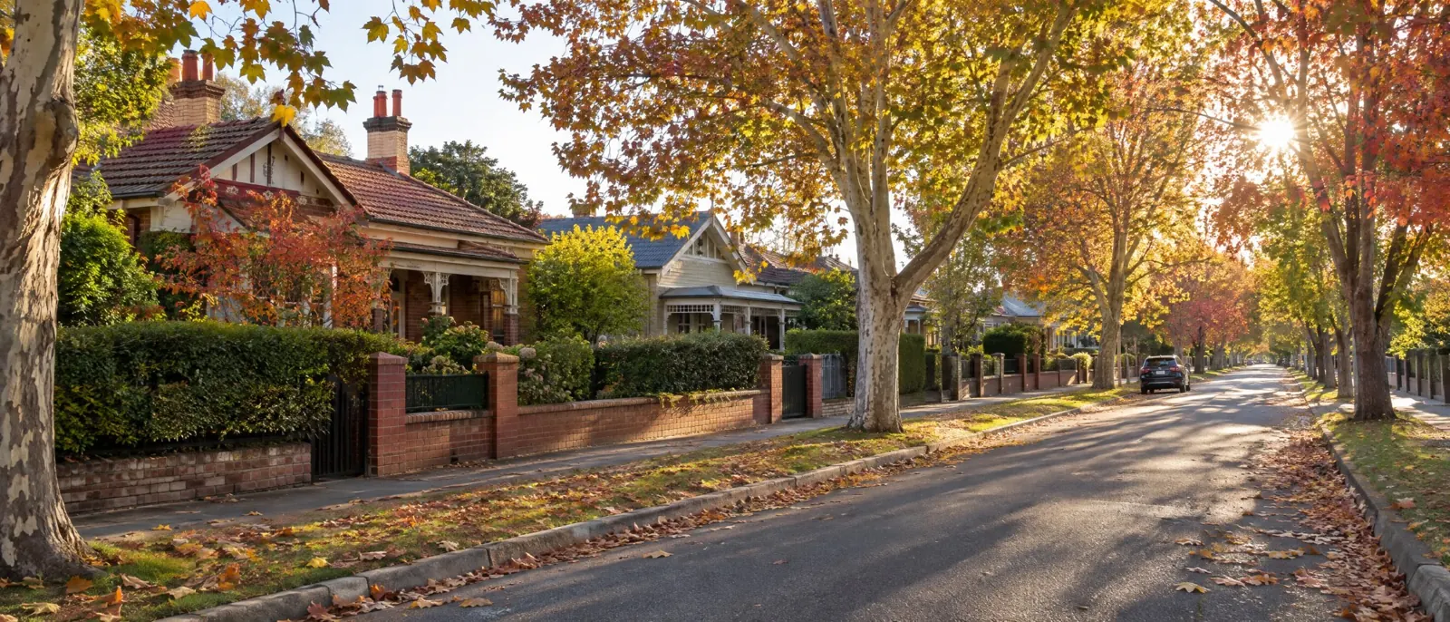 Tree-lined Melbourne street in autumn